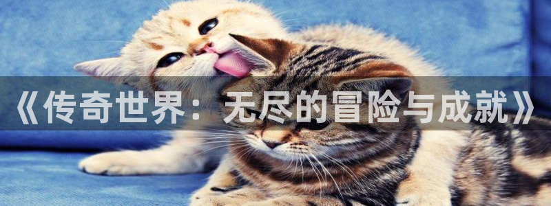 鼎点娱乐网址官网