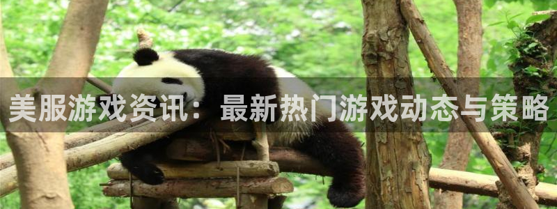 鼎点娱乐注册测速：美服游戏资讯：最新热门游戏动态与策略