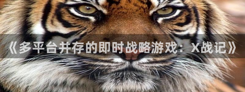 鼎点娱乐注册登录：《多平台并存的即时战略游戏：X战记》