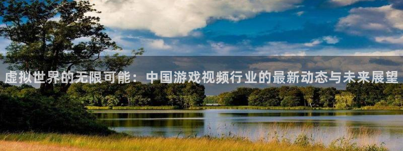 鼎点娱乐平台负责人：虚拟世界的无限可能：中国游戏视频行业的最