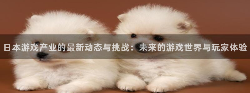 鼎点娱乐登陆地址：日本游戏产业的最新动态与挑战：未来的游戏世