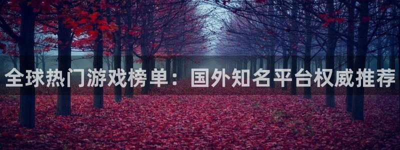 鼎点娱乐平台官网登录：全球热门游戏榜单：国外知名平台权威推荐