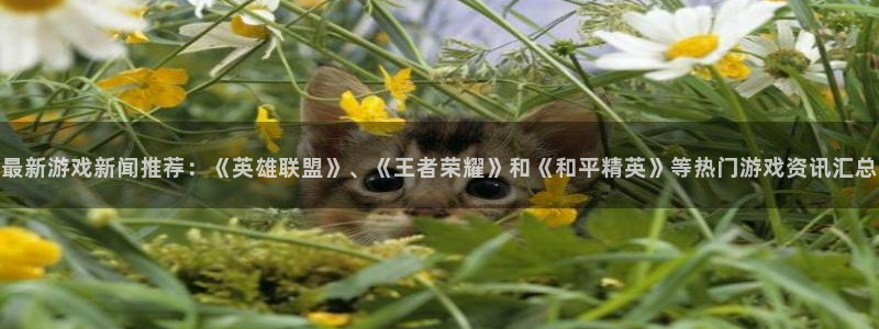 鼎点娱乐平台登录入口：最新游戏新闻推荐：《英雄联盟》、《王者