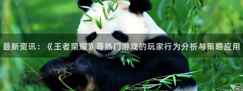 鼎点娱乐登录：最新资讯：《王者荣耀》等热门游戏的玩家行为分析
