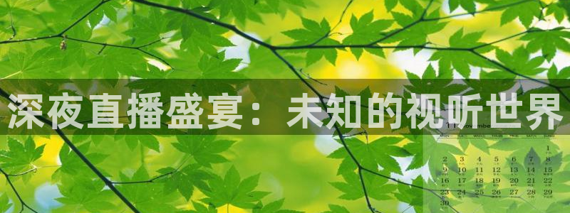 山猫免费直播nba比赛：深夜直播盛宴：未知的视听世界