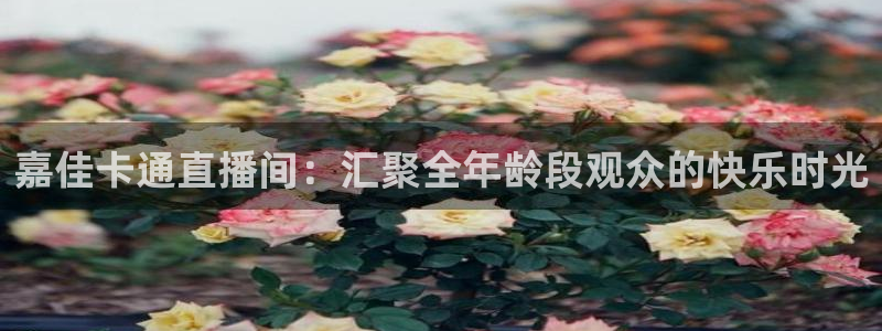 山猫直播体育平台直播：嘉佳卡通直播间：汇聚全年龄段观众的快乐时光