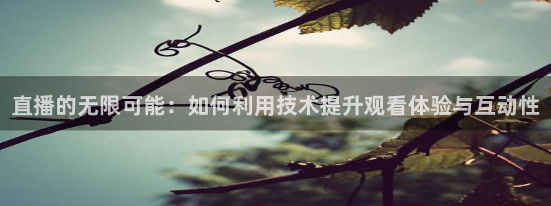 山猫足球直播免费观看：直播的无限可能：如何利用技术提升观看体验与互动性