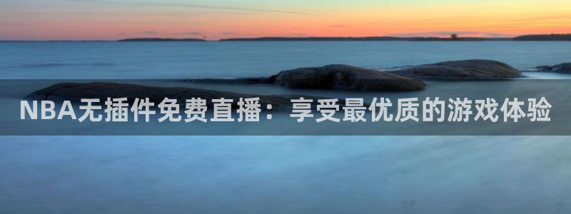 山猫篮球直播：NBA无插件免费直播：享受最优质的游戏体验