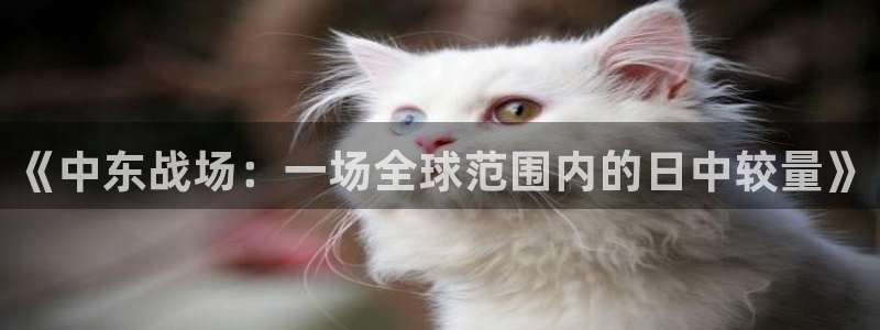 山猫直播体育app：《中东战场：一场全球范围内的日中较量》