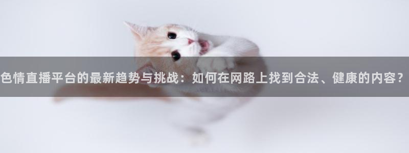山猫体育直播五大联赛：色情直播平台的最新趋势与挑战：如何在网路上找到合法、健康的内容？